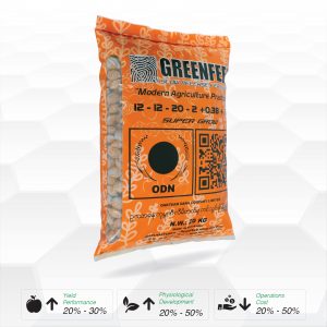 Greenfeed® Super Grow 12:12:20+2MgO+TE (Myanmar Market)